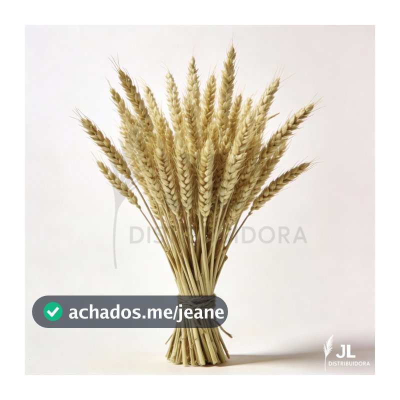 20 Hastes de Trigo Seco Decoração Farmhouse Enfeites para Sala Elegante Arranjo Artesanato Buquê