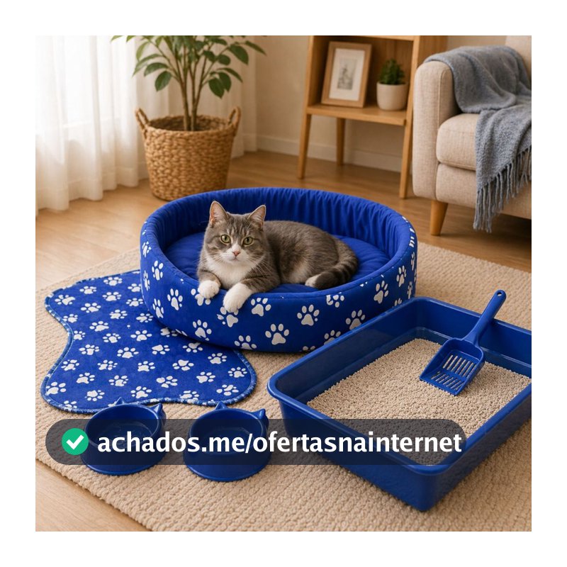 Caminha de Gato + Caixa de Areia + Bebedouro para Gato