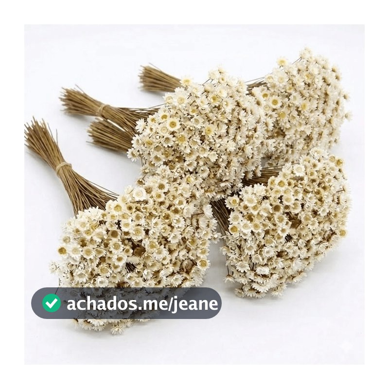 Flor Sempre Viva Premium Seca Desidratadas | 200 a 800 Flores Secas Para Decoração, Arranjo e Buquê