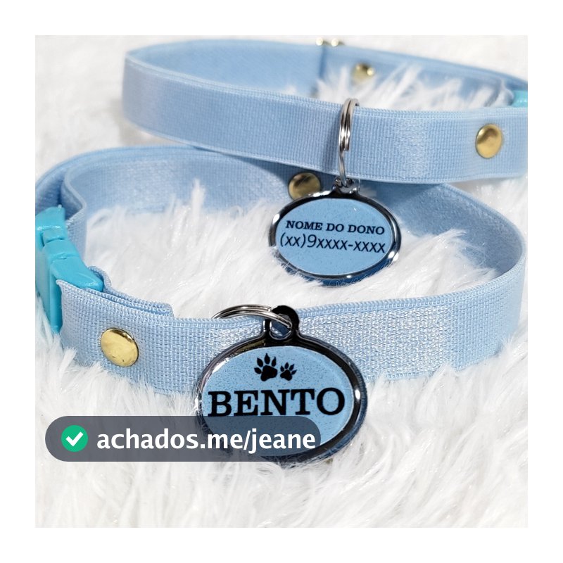 Coleira Gato com Pingente de Identificação Plaquinha Personalizada