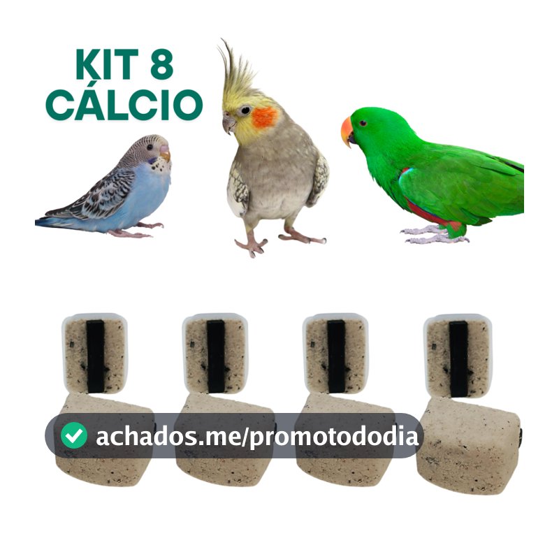 Kit Pedras de Cálcio para Aves Ideal Calopsitas, Agapornis e Periquitos Auxilia no Desgaste do Bico