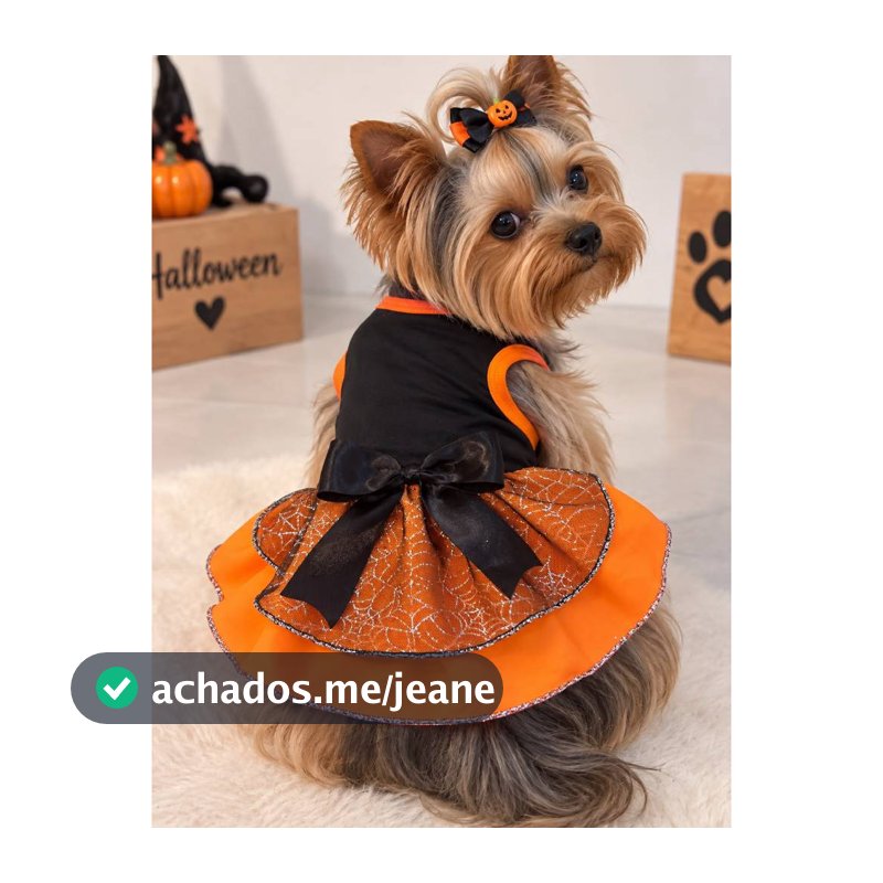 Roupa pet vestido halloween fantasia caes e gatos