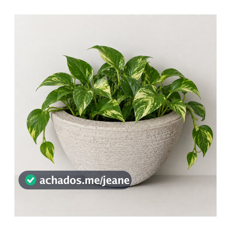 Vaso Decorativo Parede Polietileno Tamanho P Medidas 12cm X 20cm X 10cm
