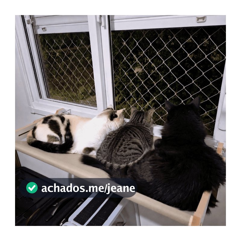 CAMA DE GATO JANELA PRATELEIRA SUPORTA 25KG