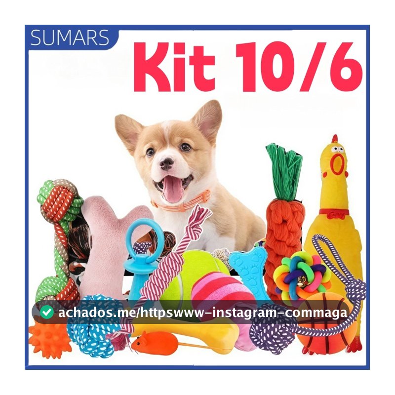 Kit 10/6 Brinquedos Mordedor Cachorro Filhote Anti Estress Pet Ranger os dentes Limpeza da boca