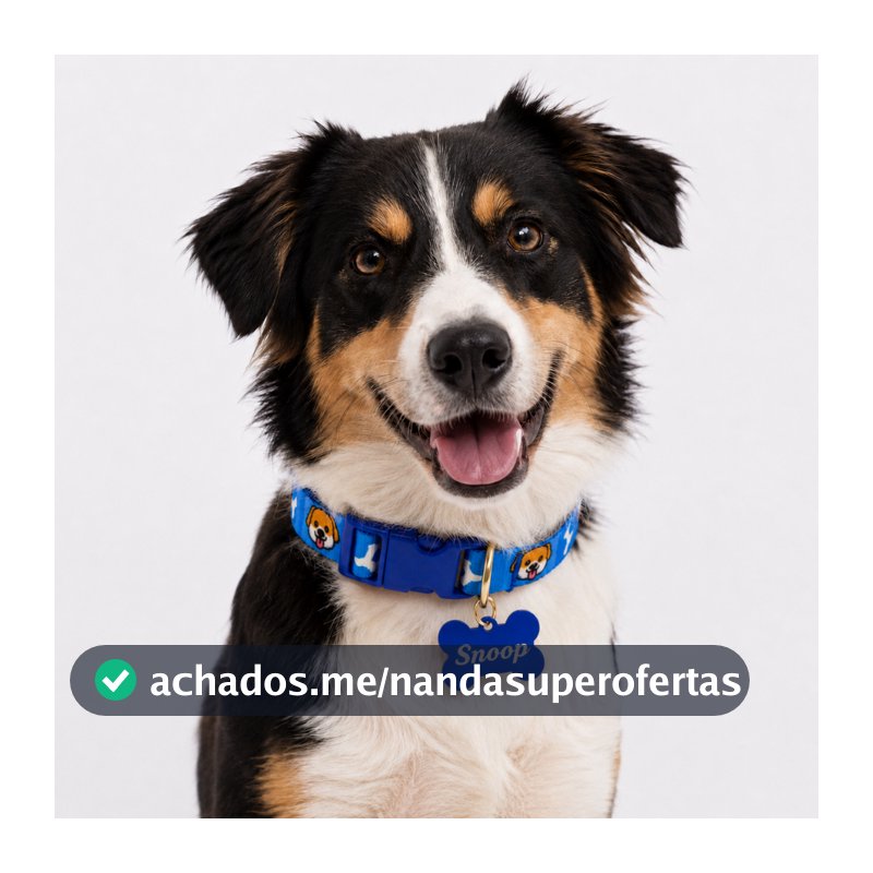 Coleira Para Cachorro Regulável com Pingente de Osso  Pet Luxo Passeios Cães - Linha Aumigos Personalizados