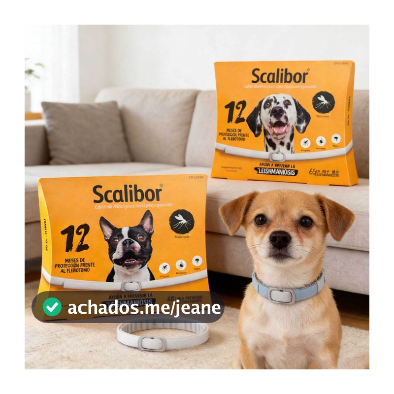 Coleiras Para Cães 48cm/65cm Pequenos E Grandes