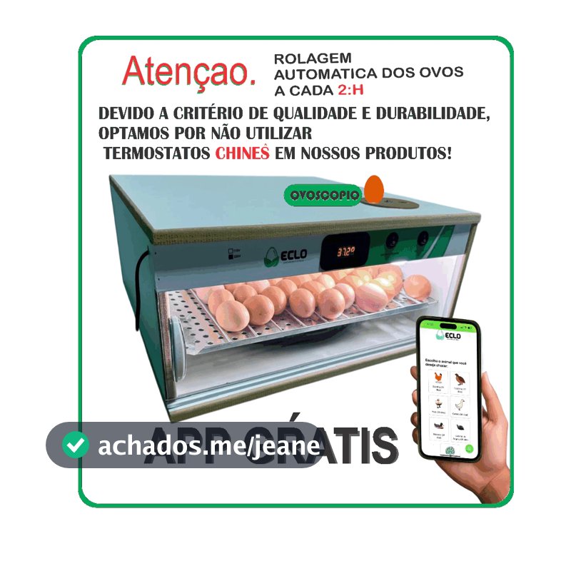 Chocadeira 70 ovos de Galinha Automática com Ovoscopio e iluminação Interna