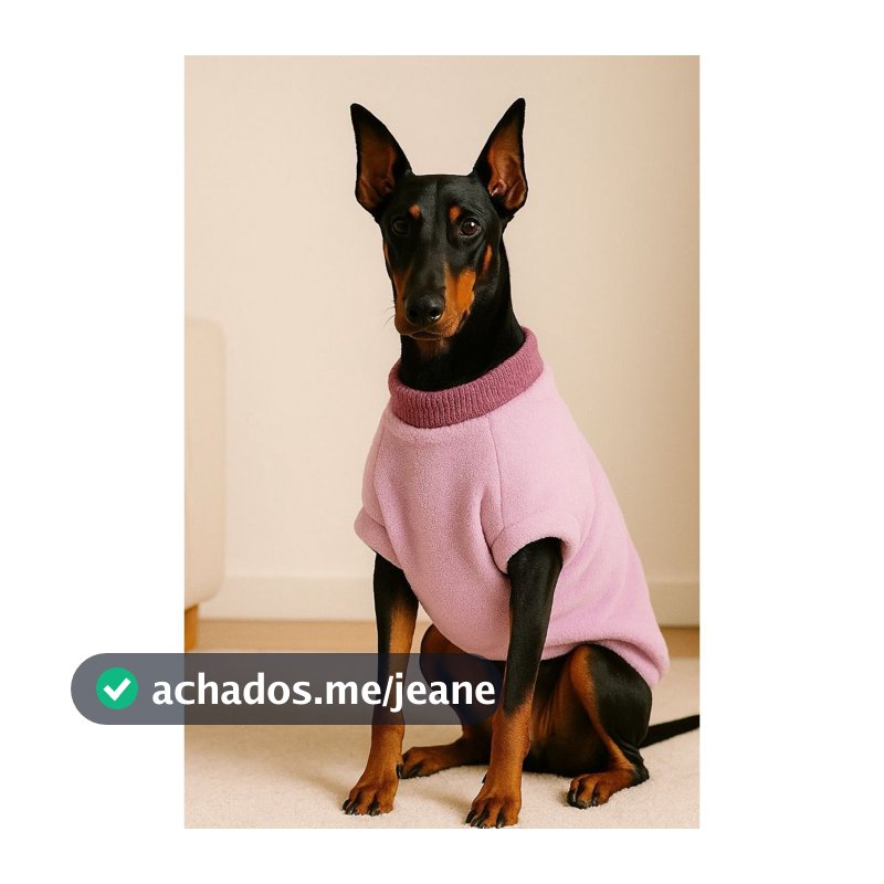 Roupa de Inverno para Cachorro Pop Soft Tecido Quentinho Cores Sortidas Tamanhos P M G GG Macia e Confortável Pet Frio C