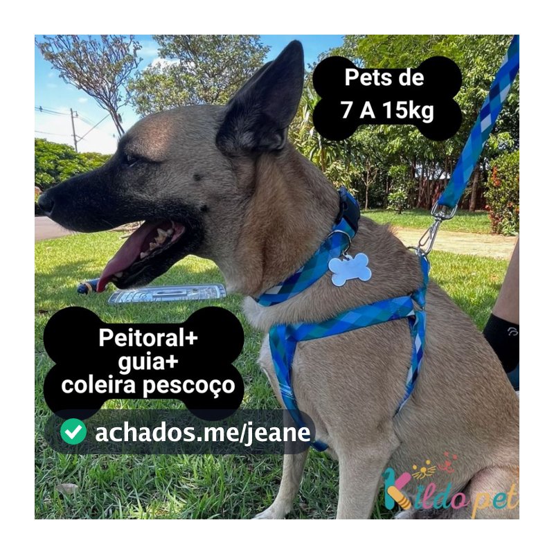 Coleira para cachorro Peitoral Ajustável Para Cachorro Porte Médio Peso 7kg a 15kg