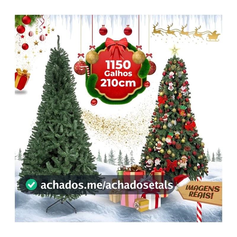 Arvore Natal Real 210cm com 1150 Galhos Pé de Ferro Sodalita