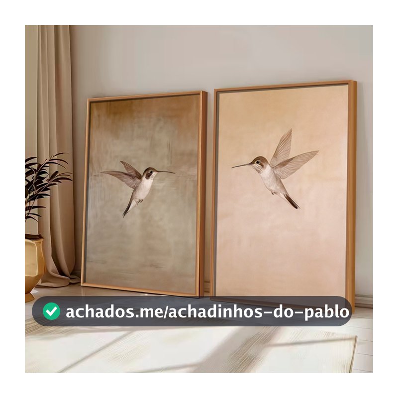 Kit2 QUADROS decorativo com MOLDURA CAIXA ALTA grande 41x61 cm Beija-Flor, Arte Minimalista Retrô para Decoração Rústica