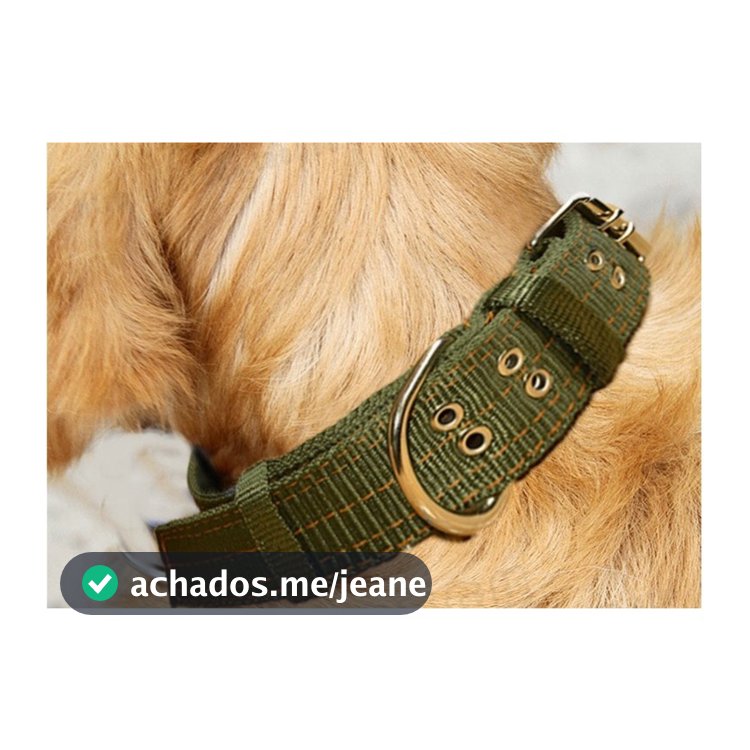 Coleira Nylon Dupla Grande Porte Para Cachorros Pit Bull e Raças Grandes Fita