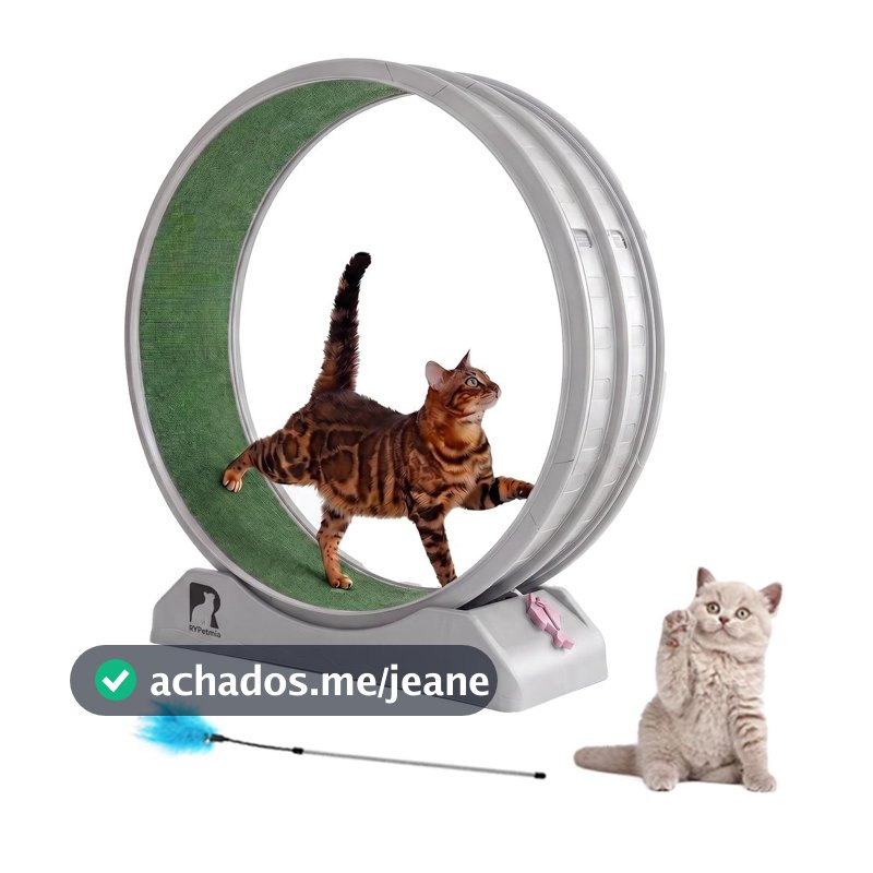 Esteira Roda De Exercicios Para Gatos Silenciosa Antiestresse Suporta 15kg Com Brinde Interativo