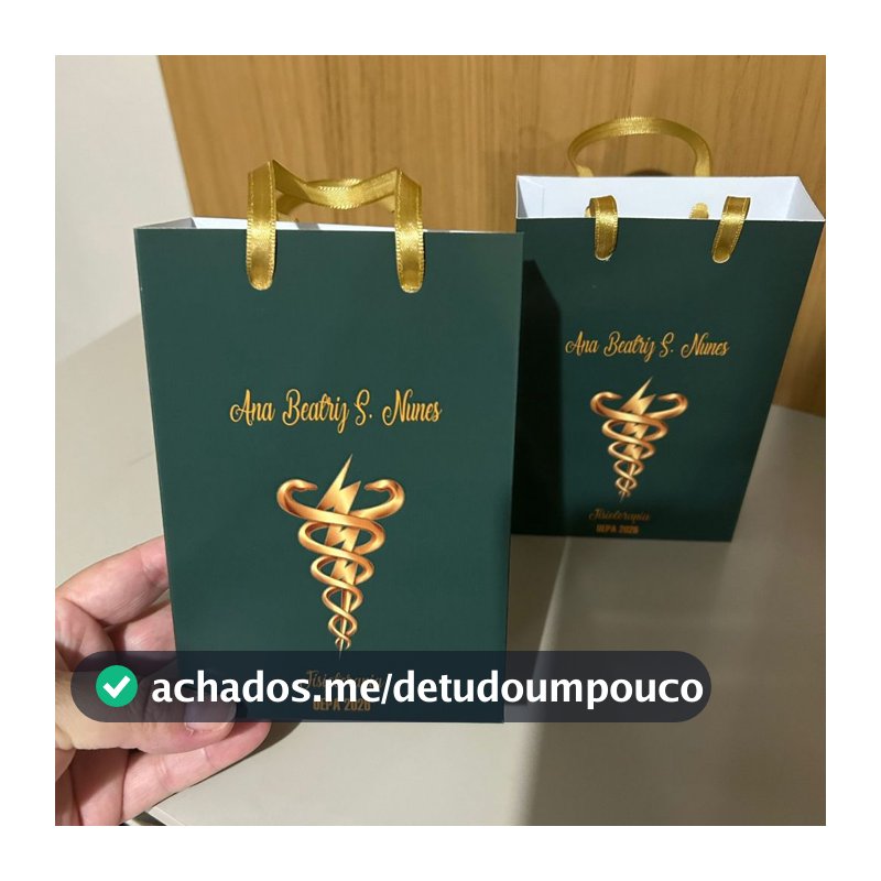 Sacolinha Formatura Fisioterapia Personalizada profissão  festa lembrancinha todos os temas