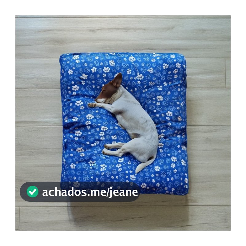 Cama Colchonete Almofada para Cachorro ou Gato Pet Pequeno Médio e Grande Lavável com Zíper