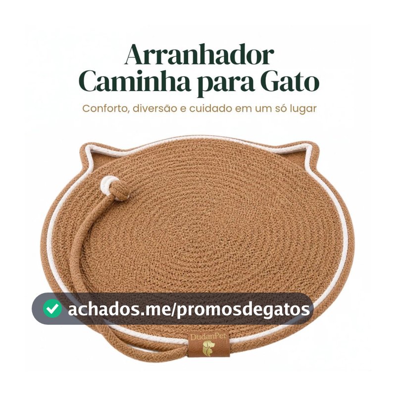 Arranhador Tapete Cama Gato Bolinha Interativo Brinquedo DudanPet + Brinde