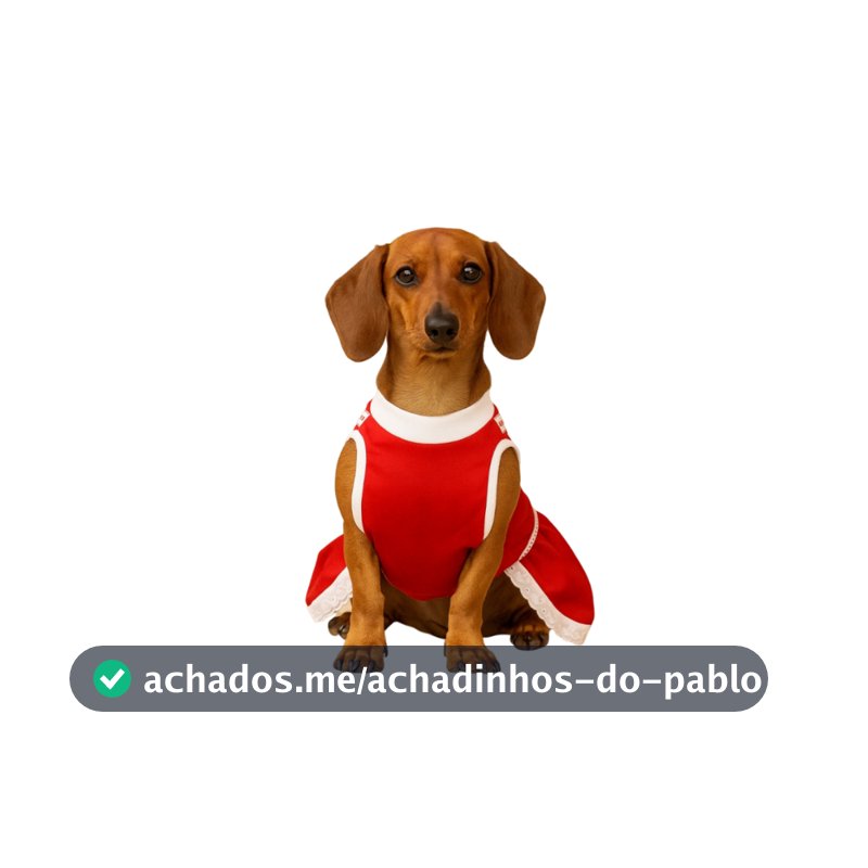 Roupinha de Natal Feminina Pet com Laço – PP ao XG