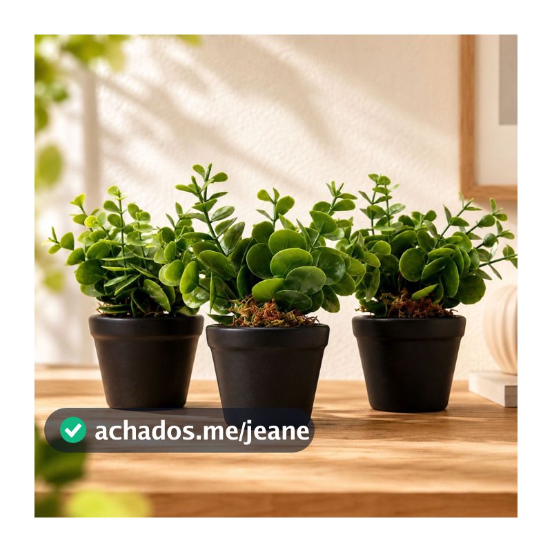 Kit 3 Vasinhos Decorativos Farmhouse Rústico Moderno com Plantas Artificiai