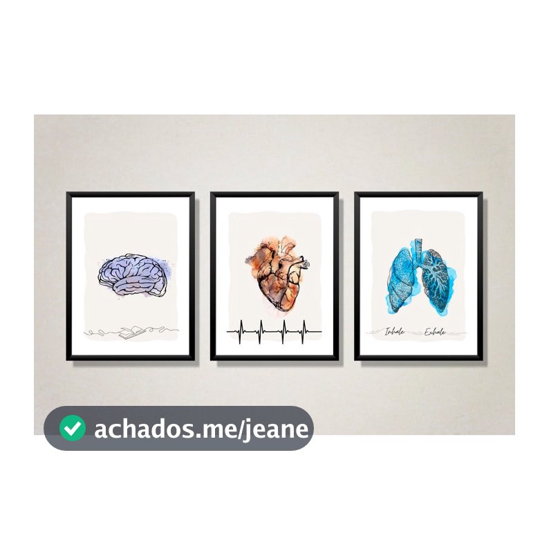 Quadro Decorativo Anatomia Humana, decoração casa Quadro Decorativo Medicina Minimalista grande