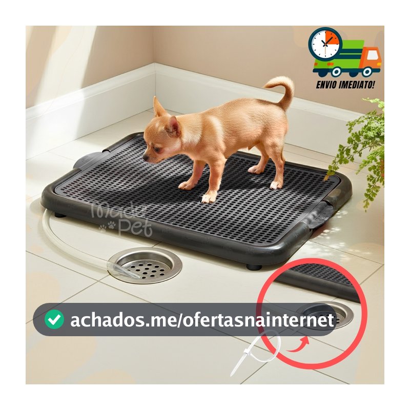 Banheiro Sanitário Com Dreno e Mangueira Lavável Para Cães Tapete Higiênico Promoção Envio Imediato