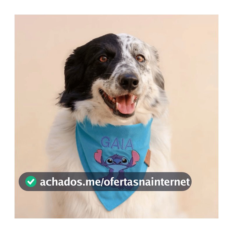 Bandana pet com bordado Stitch ou Angel - com nome bordado - Vários tamanhos P, M, U, G, GG, XG