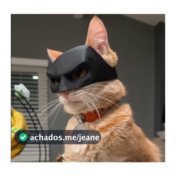 Batgato Batman Pet | Tamanhos P M G GG | Máscara divertida para gato | TikTok