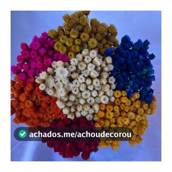 Buquê Mix 700 Flor Sempre Viva, Kit Jazidas Coloridas e Natural, Flor seca, Flor Desidratada