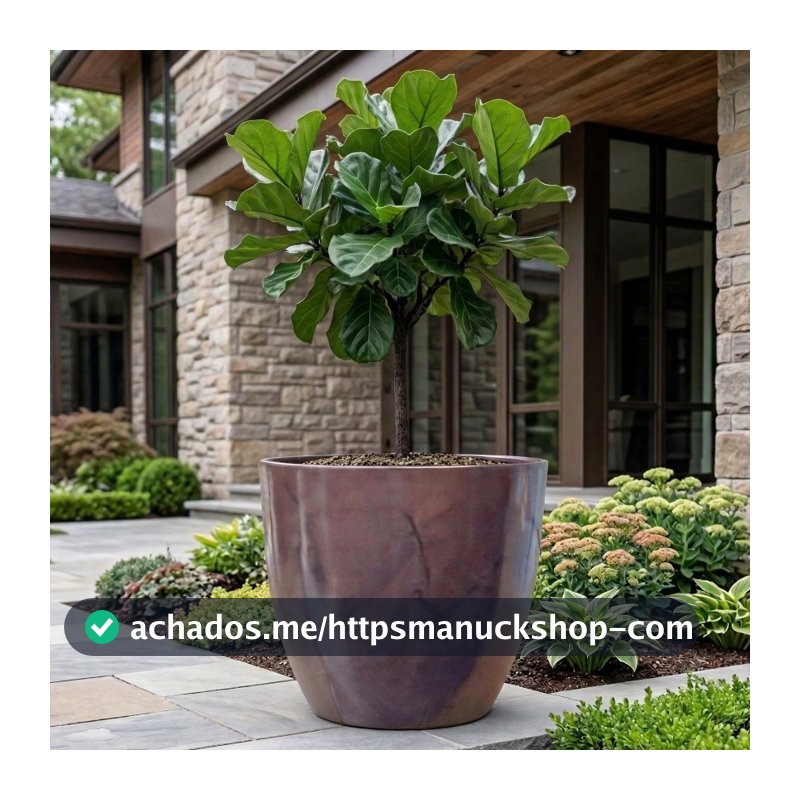 Vaso Para Planta Polietileno Bojo Liso Nº 3 e 4 Grande Gigante 92L Com Prato Coletor Decorativo Jardim Sala Resistente