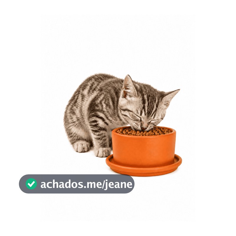 Comedouro Gato Cerâmica Premium Ergonômico Anti Formiga Impermeável Anti Bigode Elevado 250ml