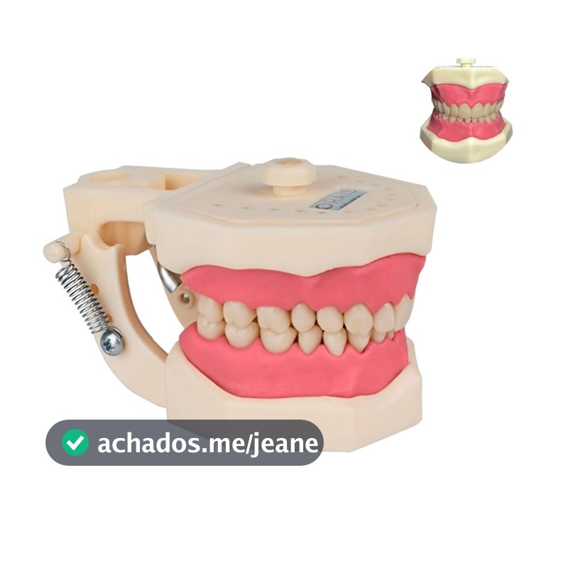 Manequim de dentística Cód. 101 - Marca Orais (Estudante)