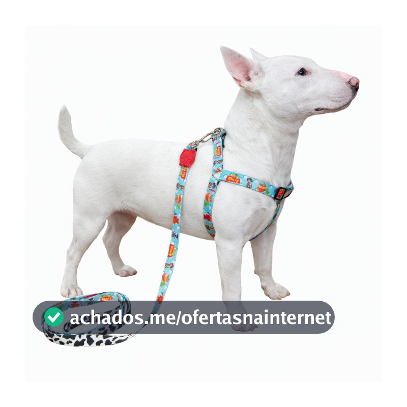 Coleira Peitoral para Cachorro de Personagens Pequenos e Médios com Guia Para Pet Colete Confortável