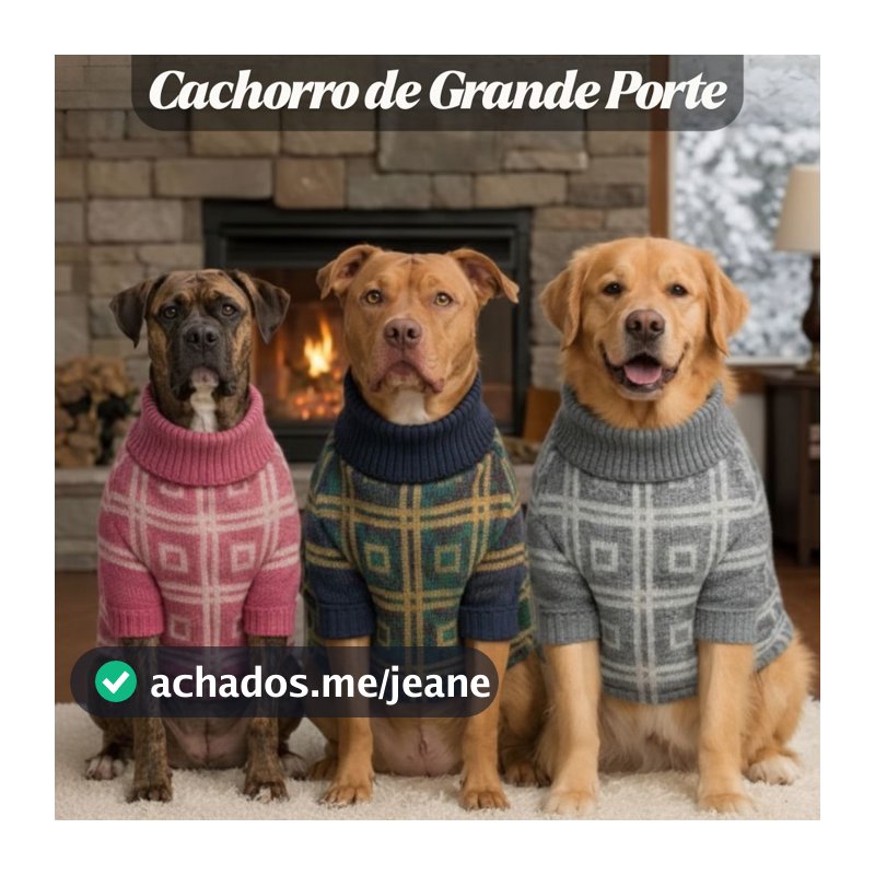 Roupa de Lã para Cachorro Grande Conforto  Tricot GG XG XXG Macia Fácil de Vestir Dias Frios Sortida