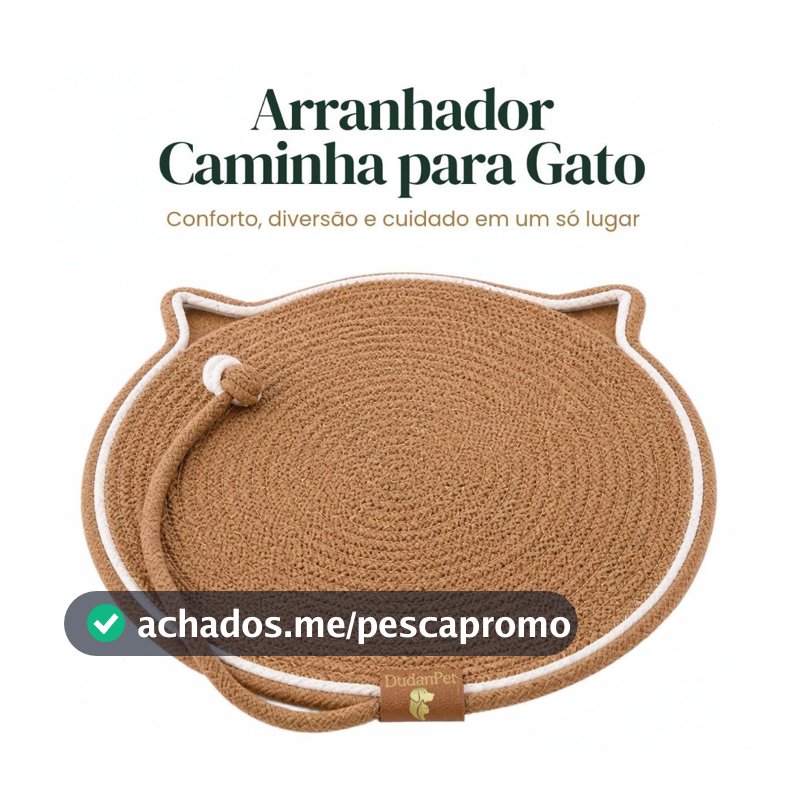 Arranhador Tapete Cama Gato Bolinha Interativo Brinquedo DudanPet + Brinde