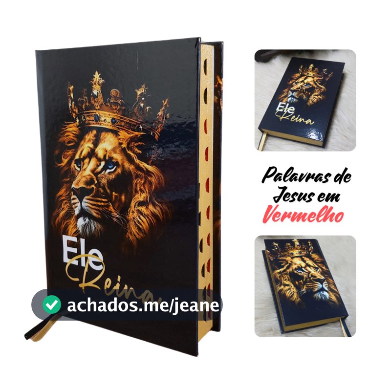 Bíblia Sagrada Leão Letra Média Harpa Jovem João Ferreira de Almeida Masculina Palavras destacada