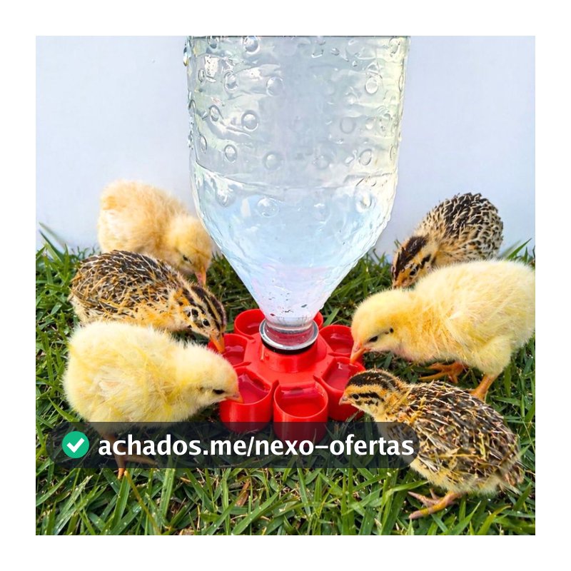 Bebedouro de agua automático para aves pintinhos e codornas P/ garrafa PET com 9cm