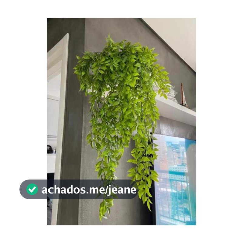 Kit de Arranjo Planta caída Artificial com 1 Pendente Samambaia Fícus + Argila + Vaso Marrom e Musgo