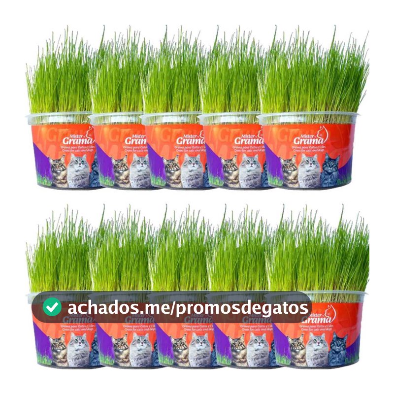 Kit 10 Graminhas Mister Para Gatos Digestão Saúde intestinal
