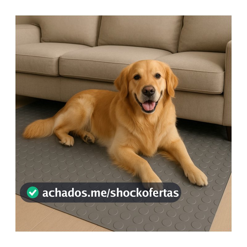Tapete Moeda 3mm Emborrachada Pet Antiderrapante 65x250cm Displasia Golden Labrador Pug