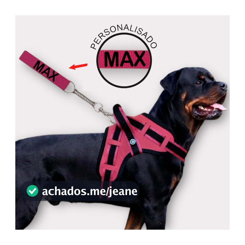 coleira e Guia para cachorro nome personalizado coleira peitoral conforto peiteira sistema amortecedor impacto regulagem