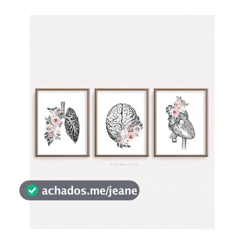 Quadro Decorativo Anatomia Humana, decoração casa Quadro Decorativo Medicina Minimalista tamanho grande Decoração para sala casa cozinha quarto Quadro decorativo Corpo Humano abstrata Moderno Decoração Corpo Humano Retro arte #25