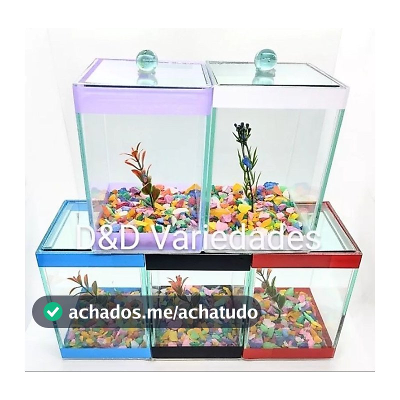 aquário beteiras lembrancinha para aniversário 10x10x13 para peixe betta kit com 6 und