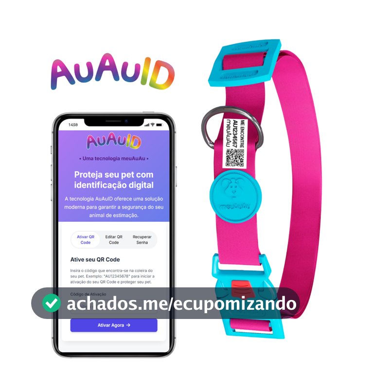 Combo 2 em 1 - Coleira Para Cachorro Com Tag De Identificação Do Pet E Tutor