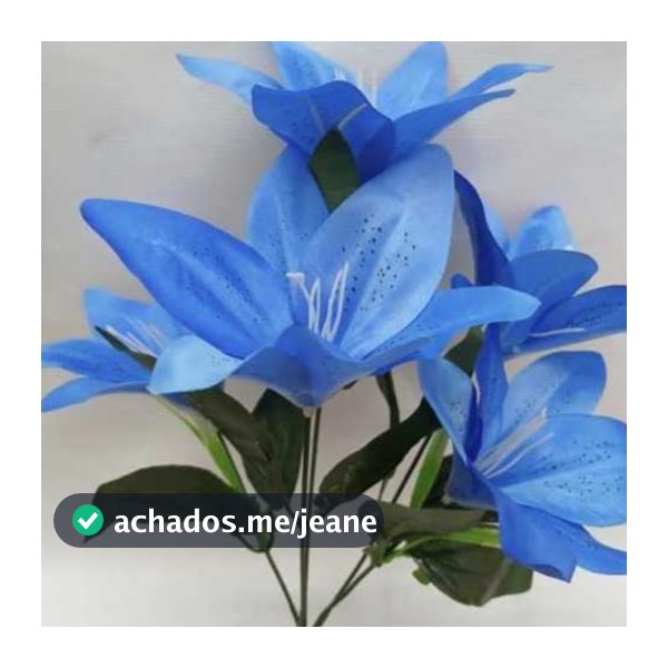 Lírio C/5 flores