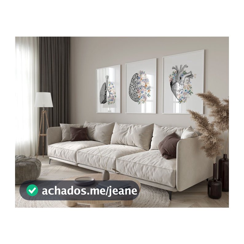 Quadro Decorativo Anatomia Humana, decoração casa Quadro Decorativo Medicina Minimalista tamanho grande Decoração para sala casa cozinha quarto  Corpo Humano Retro