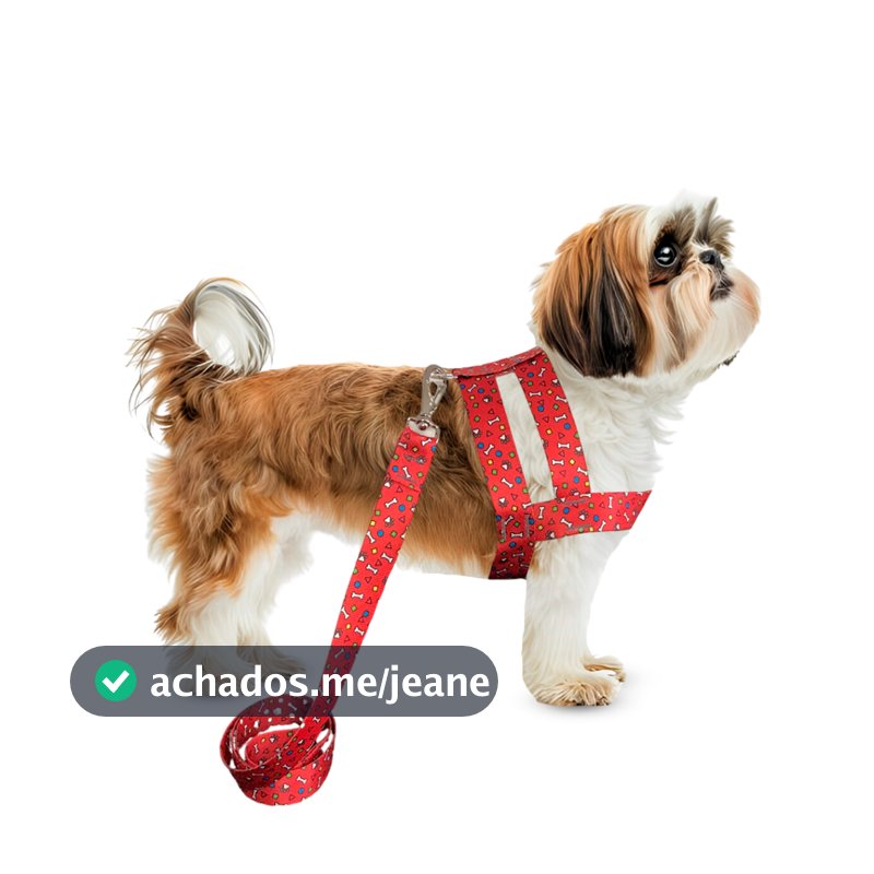 Conjunto Peitoral Com Guia De Seda Para Cachorro Cão Porte Pequeno - Conforto E Estilo Para Seu Pet