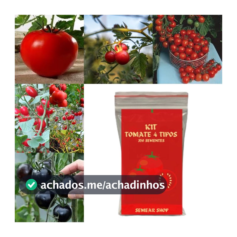 80 Sementes de 4 Tipos de Tomate Separados - Monte sua Horta!
