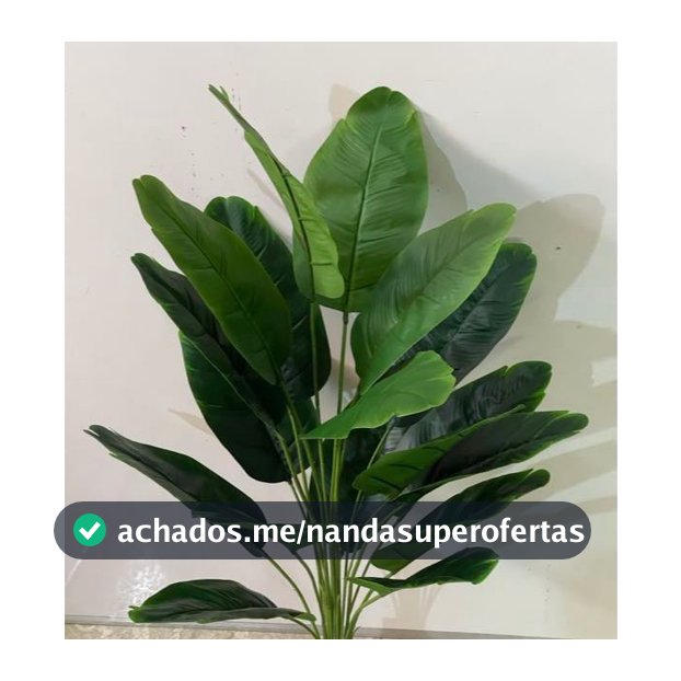 Folhagem com 18  folhas (banana)
