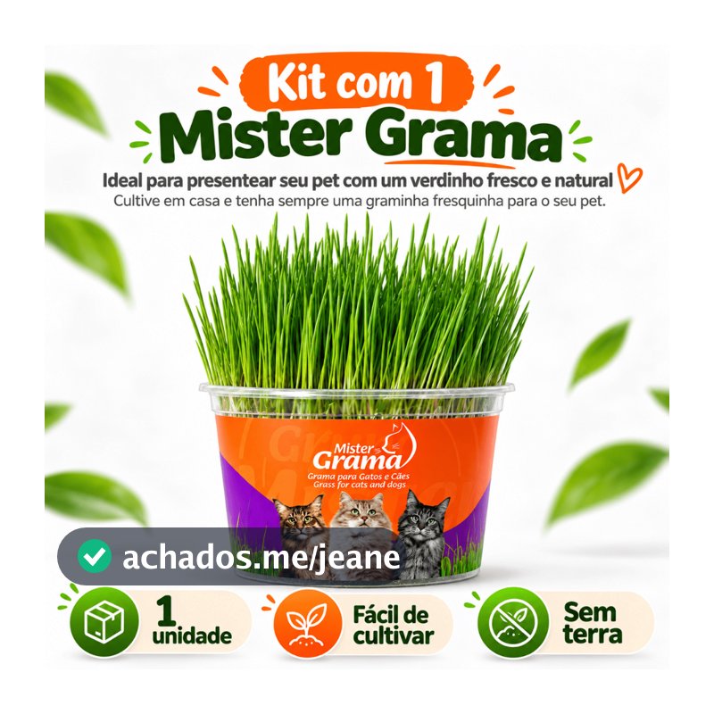 Grama Para Gato Mister– Auxilia na Digestão e Bola de Pelo / Fácil de Plantar