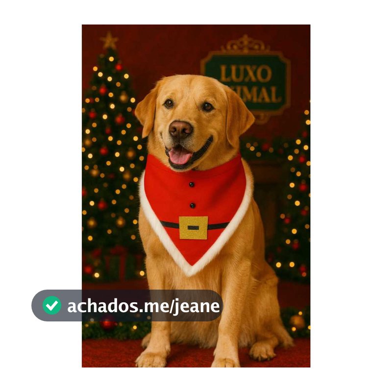Bandana Pet de Natal Cachorro Banho e Tosa Pet Shop Acessorios Pet
